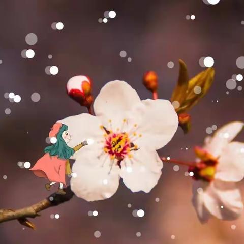 东瓜镇幼儿园2019年秋季学期第20周周记（2020年1月6日~2020年1月10日）值周教师：杨朝萍   徐艳玲