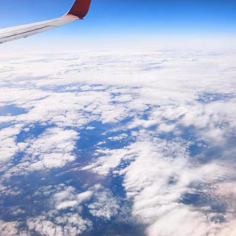 惠州避寒之旅：开启新的避寒之旅行，前往惠州（1216）