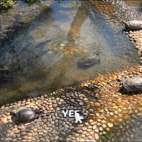惠州避寒之旅：远眺对岸，今日成行0107（第23天）