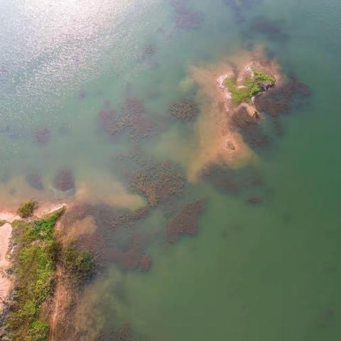 2023夏游云南（海峰湿地）