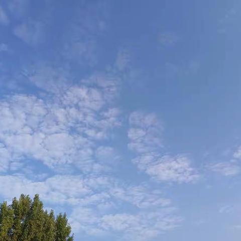 研磨达共识，携手共成长 ——三年级英语集体备课