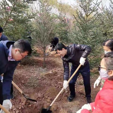 人行海东中支组织参加2019年秋季植树造林“大会战”活动”