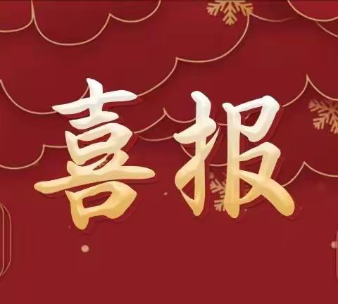 喜报！五亩乡妇联再获殊荣