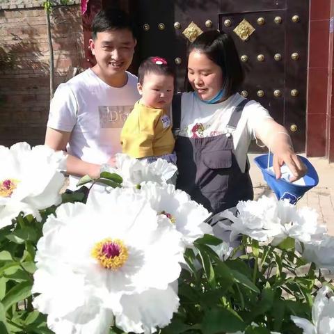 【三五创建】五亩乡“五美庭院”，随手拍展播（三）