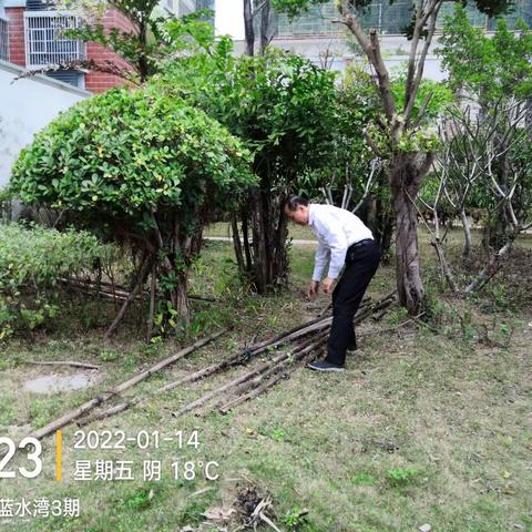 蓝水湾二三期1月14号工作汇报