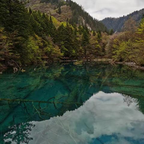 蜀川行（概要）