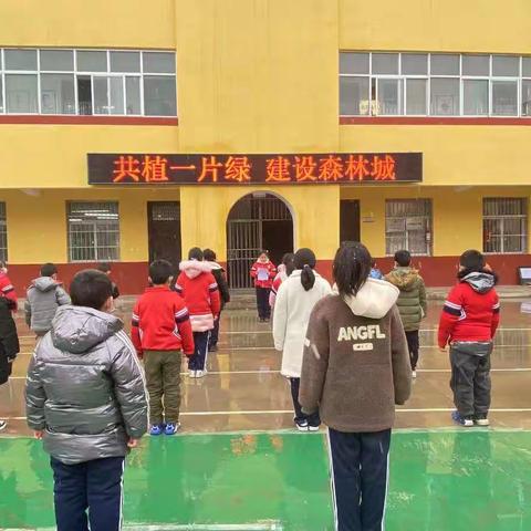 宜君县雷塬中心小学“共植一片绿建设森林城”倡议书