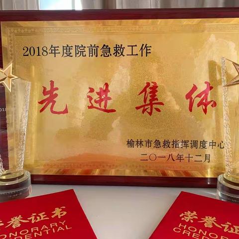 锲而不舍，金石可镂——急救中心2018年再创佳绩。