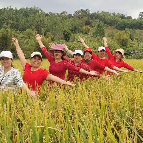 十月金秋，游玩的好季节