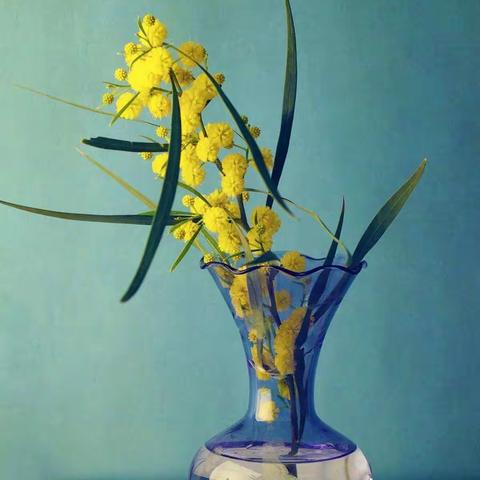 阳光班的快乐与烦恼                                          ——学生作品