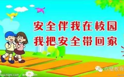 丽江市古城区七河镇中心完小2021年10月安全主题教育活动