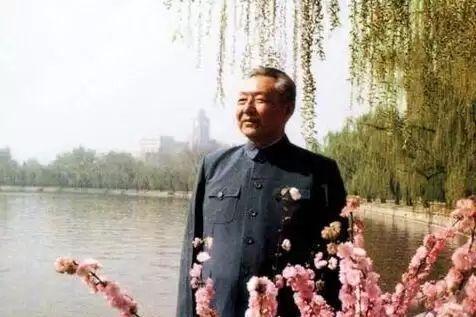 【太极往事】习仲勋的太极缘