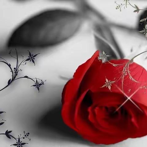 红烛原创诗歌专集|<情人节的玫瑰>作者/红烛 主编/愉悦