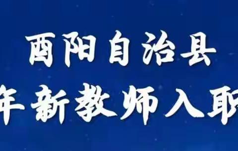 语言礼仪展教师风采  三尺讲台圆育人梦想