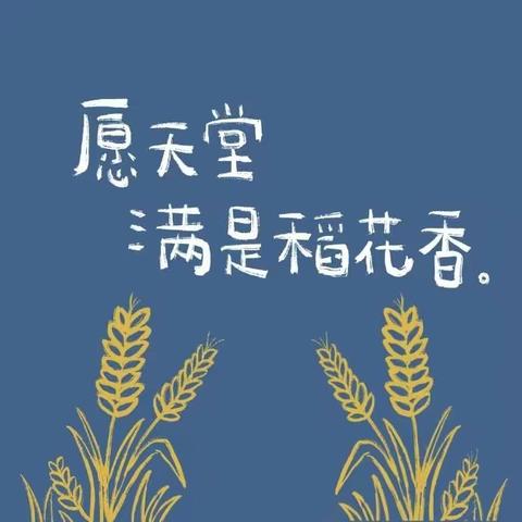 缅怀袁隆平爷爷，稻香绵长，永远是光–东关大一班