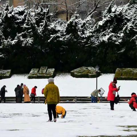 上海中山公园雪景