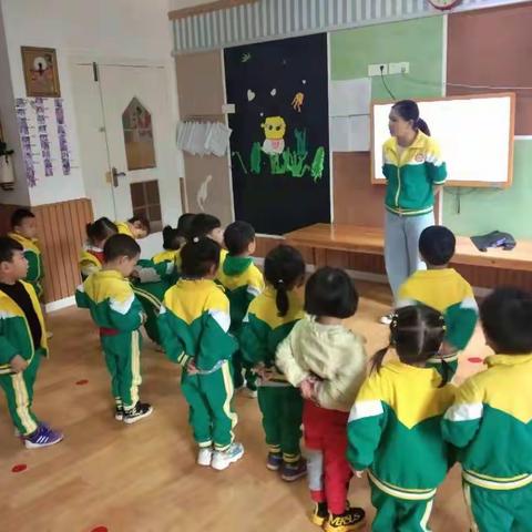 星贝新蕾幼儿园苗苗班“捡树叶”社会实践活动