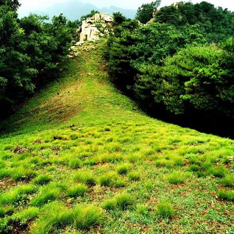 夏凉泰山