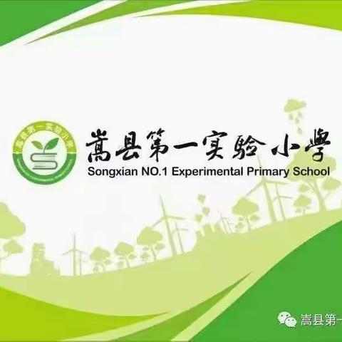 【绿色成长教育】博采众长 匠心筑梦——嵩县第一实验小学班主任专业化成长论坛（一）