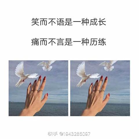 沉淀