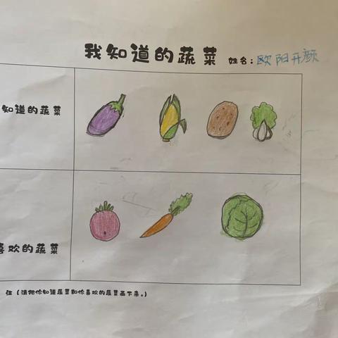 《我爱蔬菜🥬》——中六班班本课程记