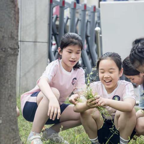 校园人型除草机出动啦！