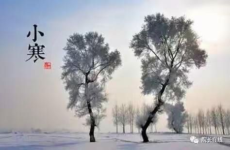 小寒丨小心阴邪入体，春节前病倒！