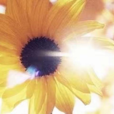 教育路上        播撒阳光