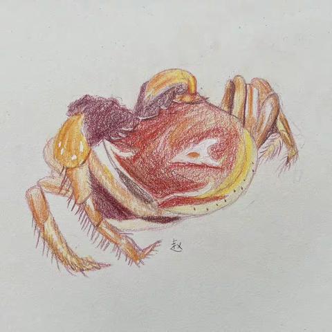杜老师的美篇