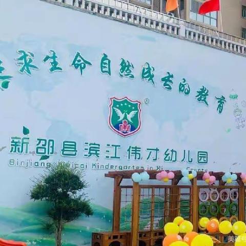 滨江伟才幼儿园: 安吉建构游戏之《有趣的桥梁》——课例分享