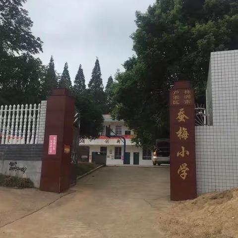 疫情防控暖回春 开学准备进行时——蚕梅小学开学准备工作井然有序