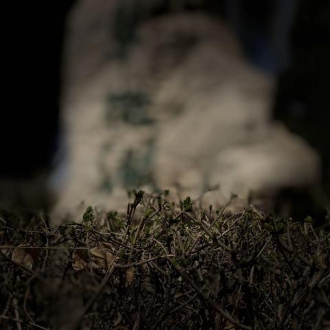 calm down💫的美篇