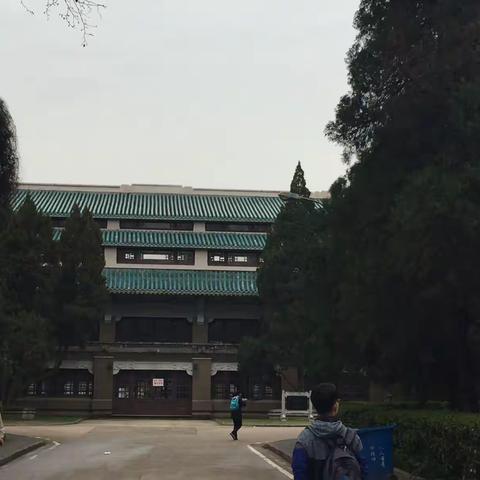 武大樱花