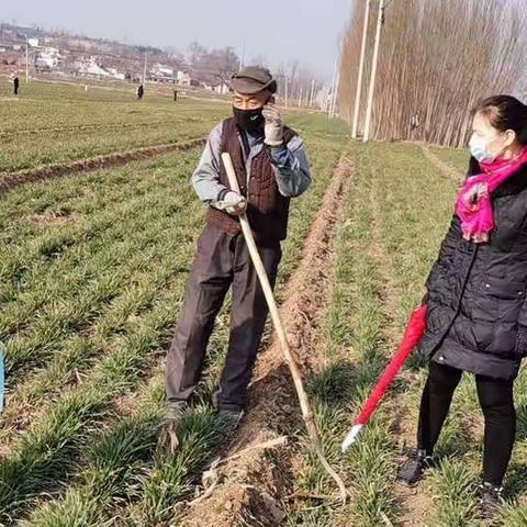 韩城市农业农村局春季农业生产技术指南