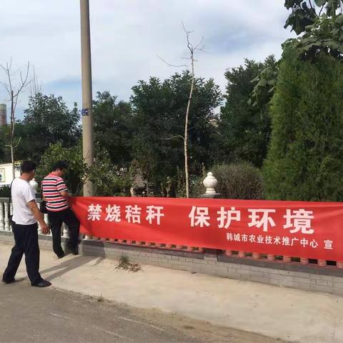 我的美篇