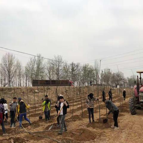 助推文明城市 建设宜居乡村