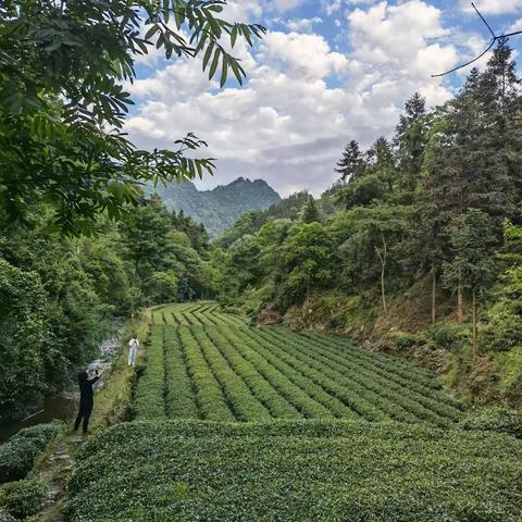 龙潭沟日记一