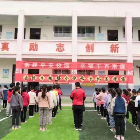 绿茵赛场展英姿 ﻿  竞技体育显风采﻿一一底张乡翔梧小学“校长杯”足球赛掠影