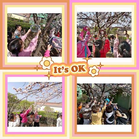 寻找春天的美-——东于中心幼儿园中二班“找春天”主题活动