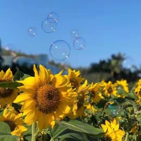 《平凡的世界》观后感：我不去想