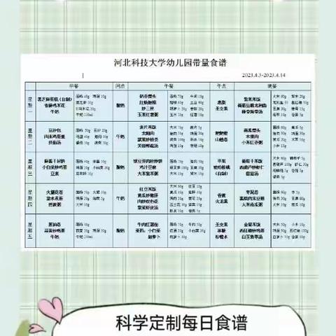 【美食上新】河北科技大学幼儿园每周食谱（2023.4.3－4.14）