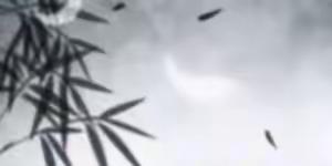 新编28式太极拳全套演练