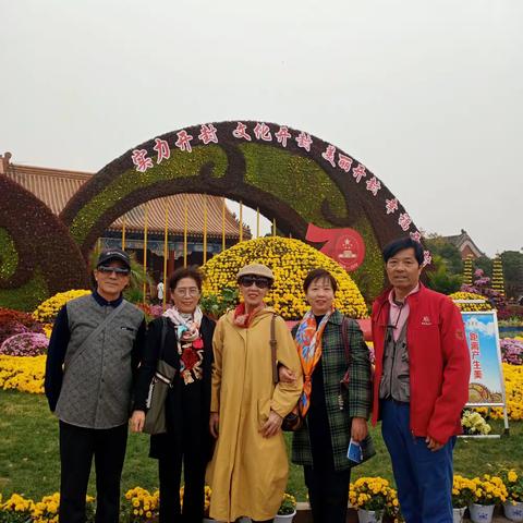 金秋菊花开，开封秀锦彩，驱车去观赏，满眼黄金色