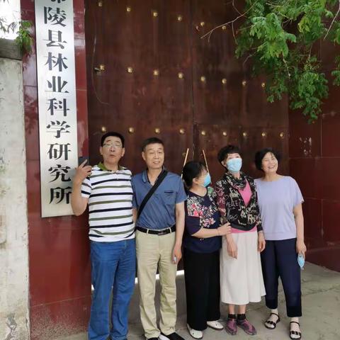 日历一页惊旧梦，当年下乡到鄢陵，从此我们叫知青…那里安放过青春那里结下最纯感情鄢陵永远盘踞在我们心中