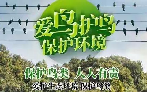 同在蓝天下，人鸟共家园——九江小学八里湖校区三（2）中队，科技节作品汇集