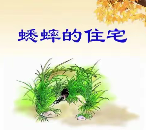 探究共生课堂，我们在路上———记课堂开放月活动《蟋蟀的住宅》公开课