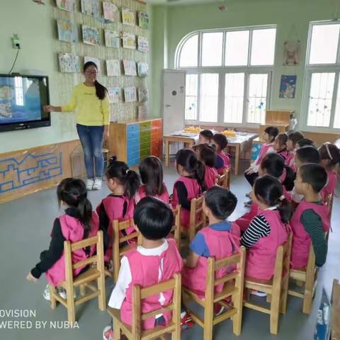 我是幼儿园教师——做一名专业的幼儿园教师             宿城区肖桥幼儿园大一班吴老师