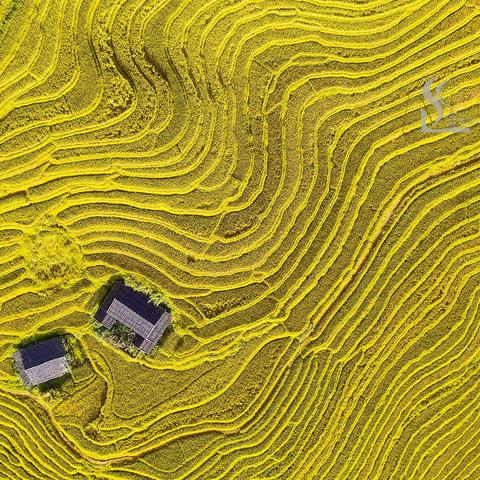 漳平市象湖镇德安梯田  一颗坠入大山深处的明珠