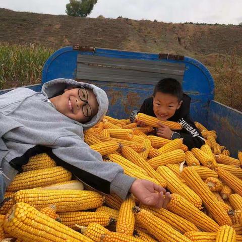 丰收的秋天🍂🌾--快乐的农夫     东联学校（小学部）                    三年级（3）班   秋收体验