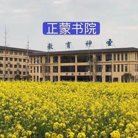 不负春光，聚力前行——正蒙书院教研活动进行曲